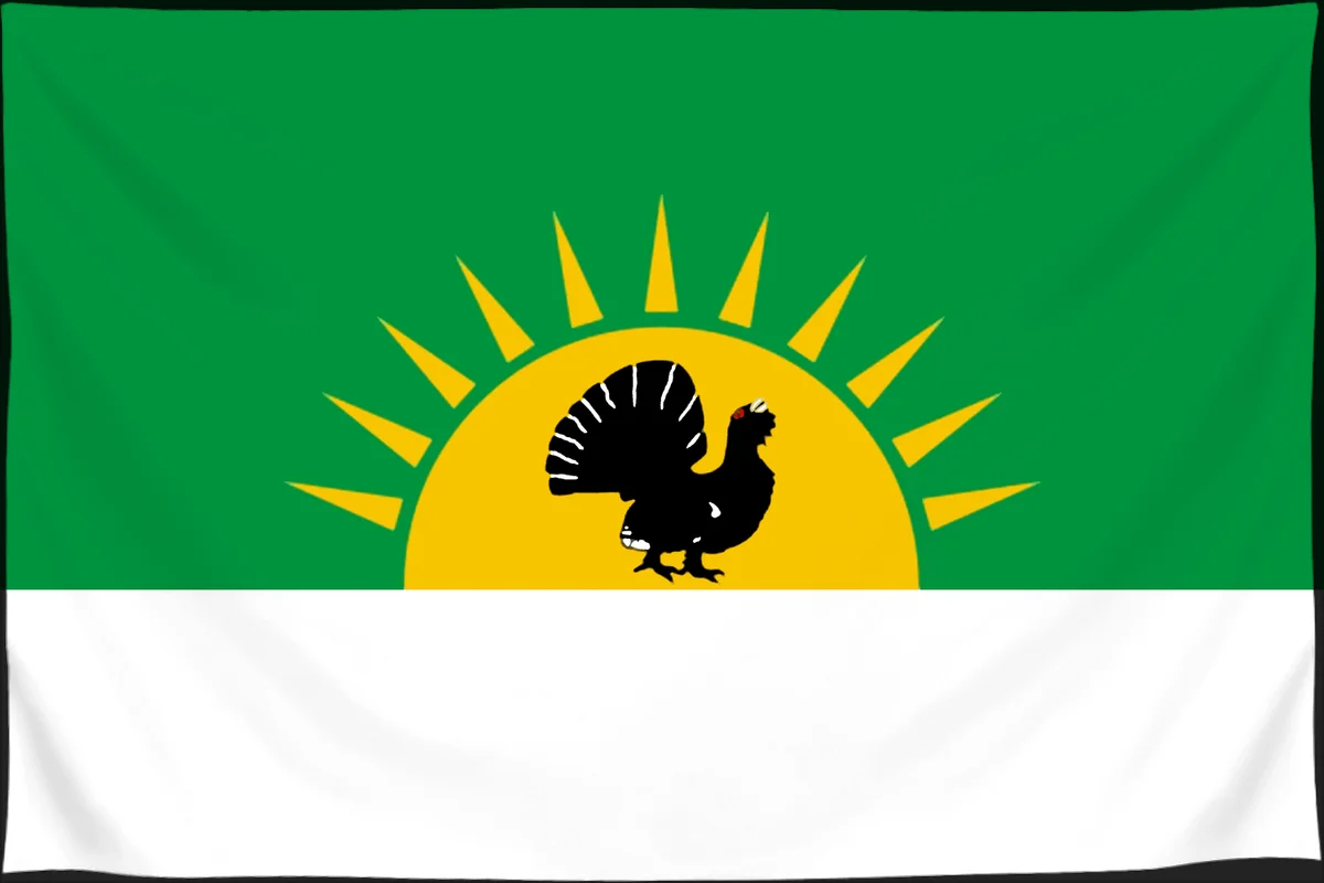 Флаг: Седельниковский район